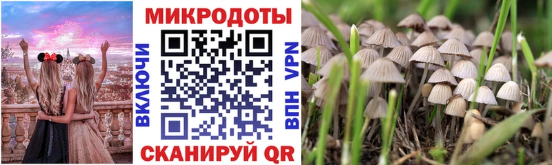 Галлюциногенные грибы Magic Shrooms  наркошоп  Дрезна 