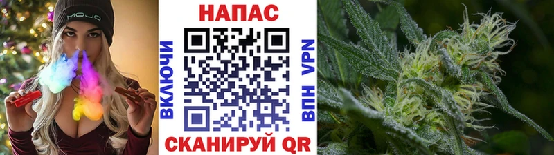 Конопля планчик  купить наркоту  Дрезна 